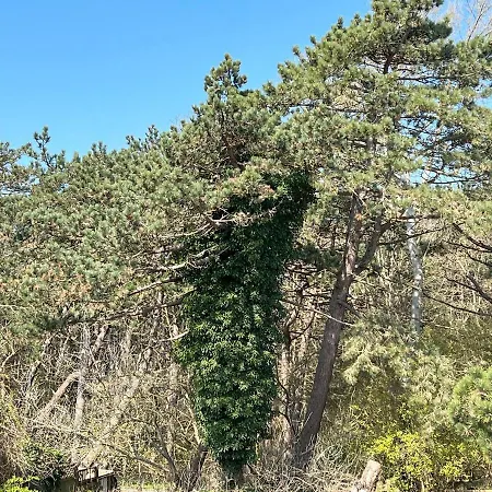 Haus-groede-whg-08 Sankt Peter-Ording